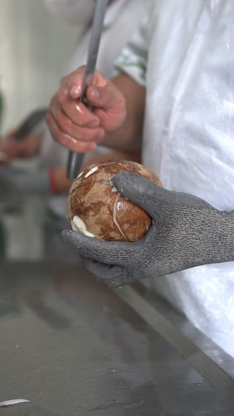 Operario de la planta de Cocos y Más pelando un coco con guante de seguridad